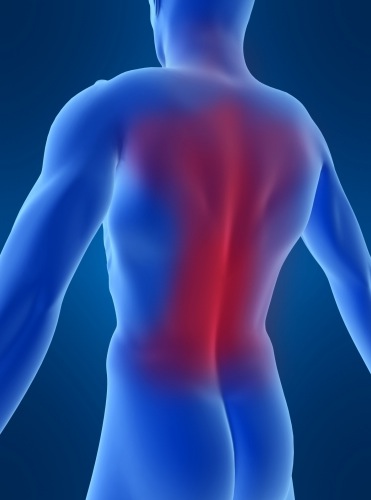 Einer der Grundsteine der Physiotherapie: die Manuelle Therapie