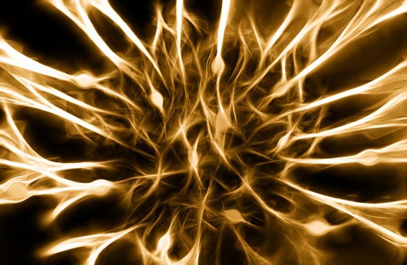 Mit Omega 3 und Vitamin D gegen Rückenschmerzen