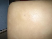 IMG_2693.jpg