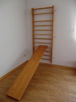 sprossenwand mit schrägbrett.jpg
