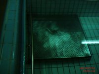 39h9rdx1a8.jpg