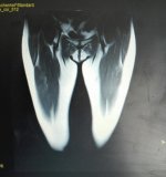 1539951856874_IMG_20181018_114137.jpg