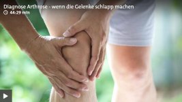 Bildschirmfoto 2018-12-13 um 12.28.38.jpg