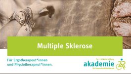 Titelbild_Akademie_Multiple.jpg Titelbild_Akademie_Multiple.jpg