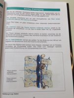 Lehrbuch MNS 2. Auflage (2).jpg